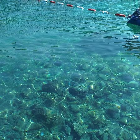 Apartmani Jovanovic Luštica Esterno foto