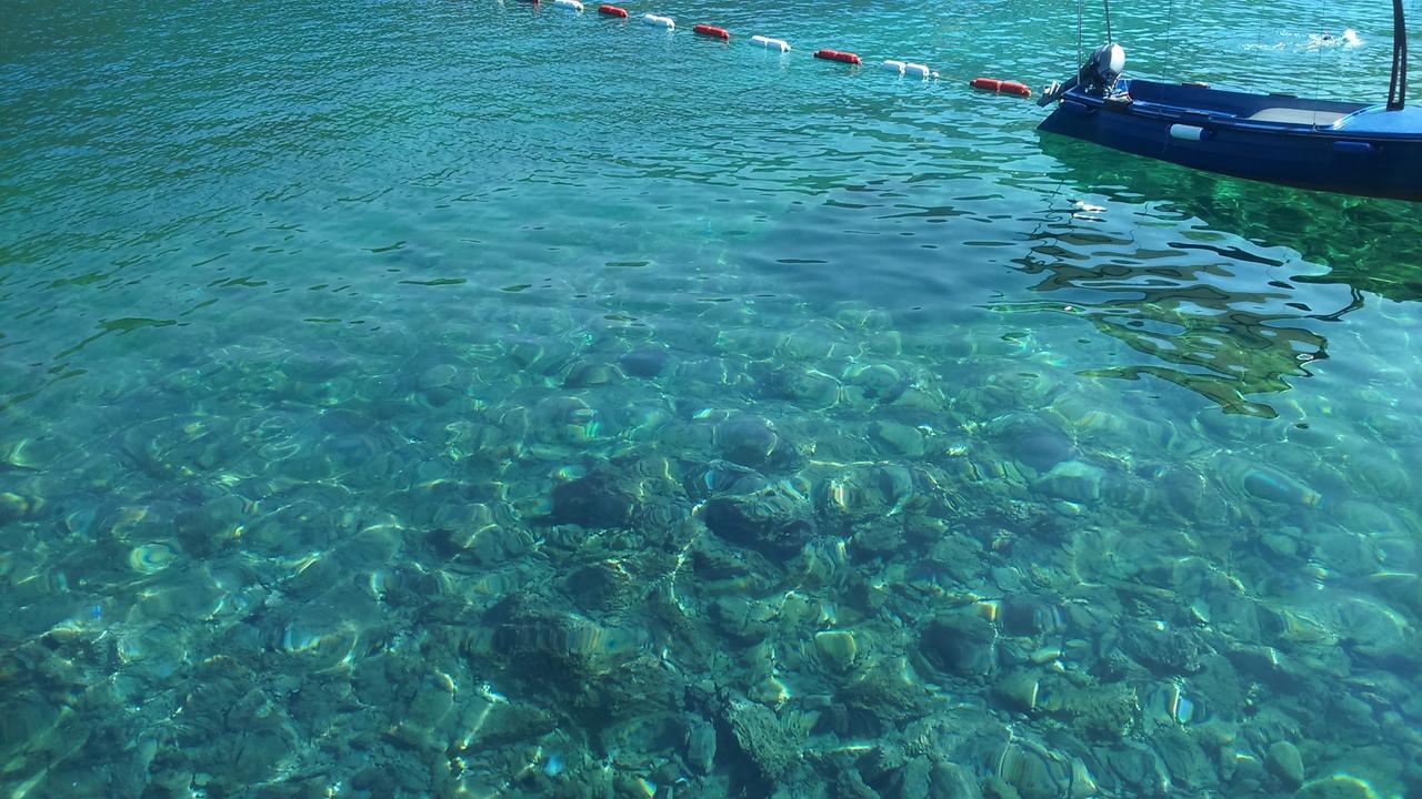 Apartmani Jovanovic Luštica Esterno foto